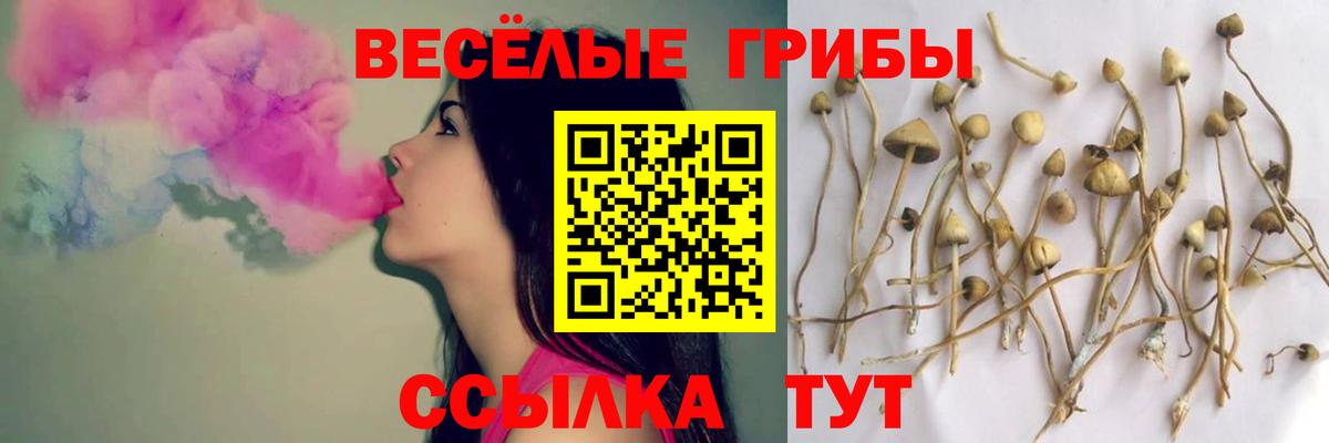 Галлюциногенные грибы MAGIC MUSHROOMS Бутурлиновка